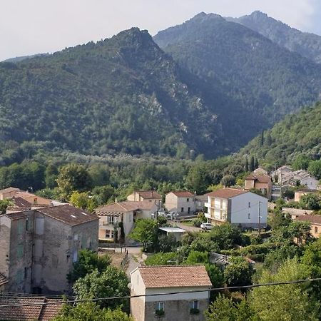 Appartement De Charme Vieille Ville Corte  Εξωτερικό φωτογραφία