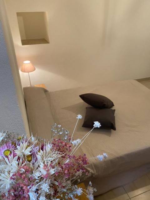 Appartement De Charme Vieille Ville Corte  Εξωτερικό φωτογραφία